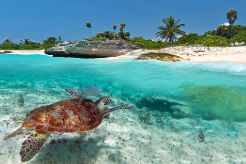 Playa Caribe Cancun