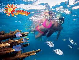 Tour Snorkel Isla Mujeres